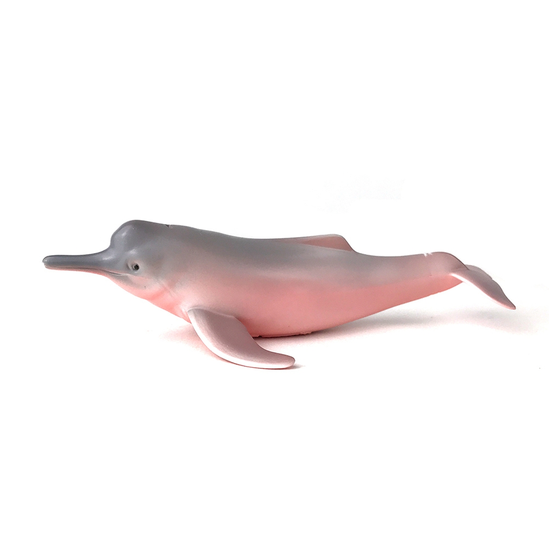 海豚充气玩具3D模型 - TurboSquid 1612379